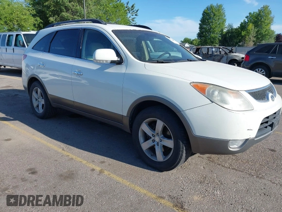 2008 Hyundai Veracruz GLS with VIN KM8NU13C68U029864, listed as a IAAI auction lot 42595094 with 219,131 mi miles and . Bid and sale history available at DreamBid. Image 1.
