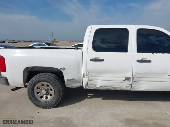 2009 Chevrolet Silverado 1500 LS with VIN 3GCEC13CX9G196238, listed as a IAAI auction lot 41690264 with 258,392 mi miles. Bid and sale history available at carsss.com. Image 6.