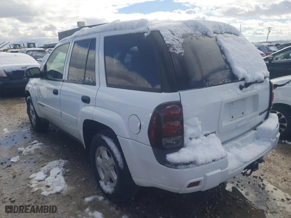 2002 Chevrolet TrailBlazer LS with VIN 1GNDT13S122276844, listed as a Copart auction lot 48006595 with 92,434 mi miles and Salvage Title. Bid and sale history available at carsss.com. Image 2.