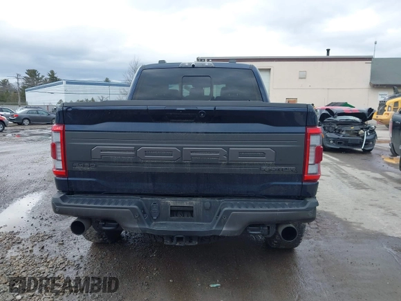 2023 Ford F-150 Raptor with VIN 1FTFW1RG9PFA45363, listed as a IAAI auction lot 41631790 with 64,393 mi miles and . Bid and sale history available at DreamBid. Image 17.