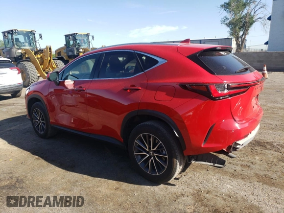 2023 Lexus NX 250 with VIN JTJADCAZXP2007217, listed as a Copart auction lot 60753065 with 35,698 mi miles and Salvage title. Bid and sale history available at DreamBid. Image 2.