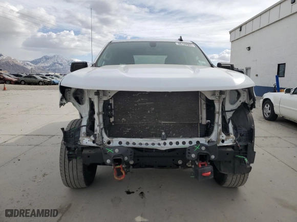 2019 Chevrolet Silverado 1500 Custom Trail Boss with VIN 1GCPYCEH3KZ236177, listed as a Copart auction lot 46128965 with 72,063 mi miles and Salvage Title. Bid and sale history available at carsss.com. Image 5.