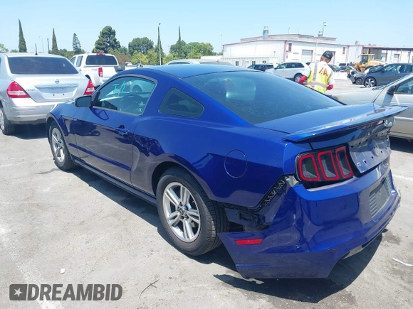 2014 Ford Mustang V6 с VIN 1ZVBP8AM2E5275266, выставлен на аукционе IAAI как лот 42520260 с пробегом 117 589 миль миль и . История ставок и продаж доступна на DreamBid. Изображение 3.
