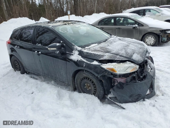 2014 Ford Focus SE with VIN 1FADP3K24EL290736, listed as a Copart auction lot 43787585 with 189,130 mi miles and Salvage Title. Bid and sale history available at carsss.com. Image 4.