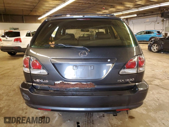 2002 Lexus RX 300 with VIN JTJHF10U220289134, listed as a Copart auction lot 77976464 with 0 mi miles and Salvage Title. Bid and sale history available at carsss.com. Image 6.