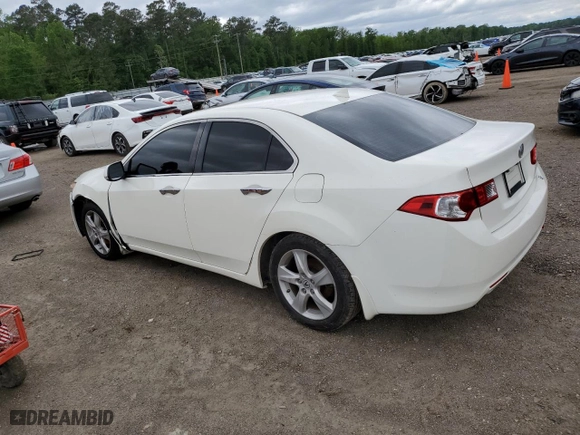2010 Acura TSX with VIN JH4CU2F6XAC034325, listed as a Copart auction lot 51826395 with 189,032 mi miles and Salvage Title. Bid and sale history available at carsss.com. Image 2.