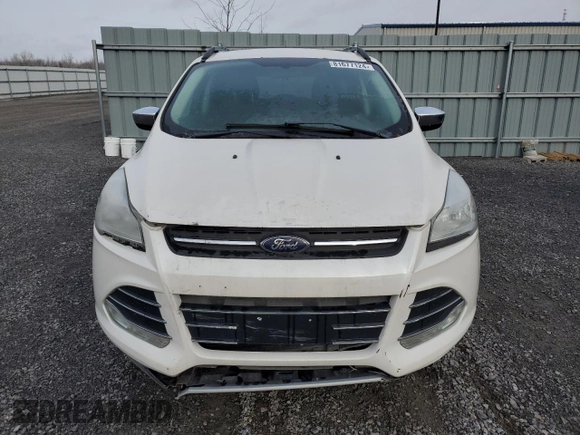 2016 Ford Escape SE with VIN 1FMCU0G96GUC02099, listed as a Copart auction lot 81677124 with 214,846 mi miles and Clean Title. Bid and sale history available at carsss.com. Image 5.