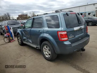 2011 Ford Escape Limited with VIN 1FMCU9EGXBKB51054, listed as a Copart auction lot 53447125 with 133,342 mi miles and Salvage Title. Bid and sale history available at DreamBid. Image 2.