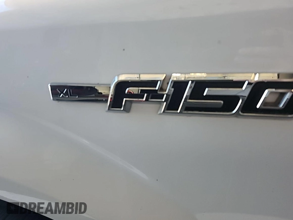 2014 Ford F-150 XL with VIN 1FTEX1CM9EKE58055, listed as a IAAI auction lot 42677815 with 174,052 mi miles and . Bid and sale history available at DreamBid. Image 27.