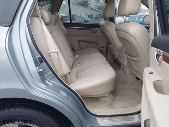 2009 Hyundai Santa Fe SE with VIN 5NMSH13E49H296636, listed as a IAAI auction lot 41464222 with 191,583 mi miles. Bid and sale history available at carsss.com. Image 8.
