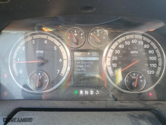 2010 Dodge Ram 1500 SLT with VIN 1D7RV1CT7AS114576, listed as a Copart auction lot 45989355 with 217,920 mi miles and Non Repairable. Bid and sale history available at carsss.com. Image 9.