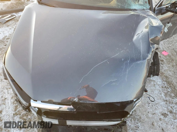 2025 Honda CR-V EX with VIN 7FARS4H46SE005065, listed as a Copart auction lot 88403065 with Not Provided miles and Salvage Title. Bid and sale history available at DreamBid. Image 13.
