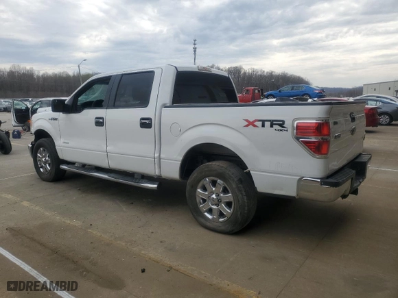 2013 Ford F-150 XL with VIN 1FTFW1ET8DFB46800, listed as a Copart auction lot 51226345 with 0 mi miles and Clean Title. Bid and sale history available at carsss.com. Image 2.