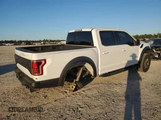2019 Ford F-150 Raptor with VIN 1FTFW1RG6KFB68157, listed as a Copart auction lot 81267324 with 67,104 mi miles and Salvage Title. Bid and sale history available at carsss.com. Image 3.