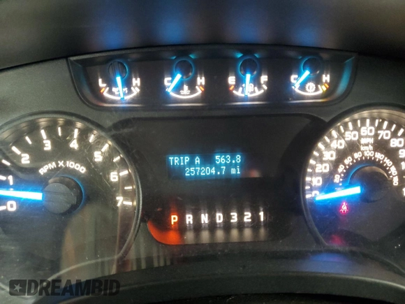2014 Ford F-150 XL with VIN 1FTFX1CT5EKD41150, listed as a Copart auction lot 49028745 with 257,204 mi miles and Clean Title. Bid and sale history available at carsss.com. Image 9.
