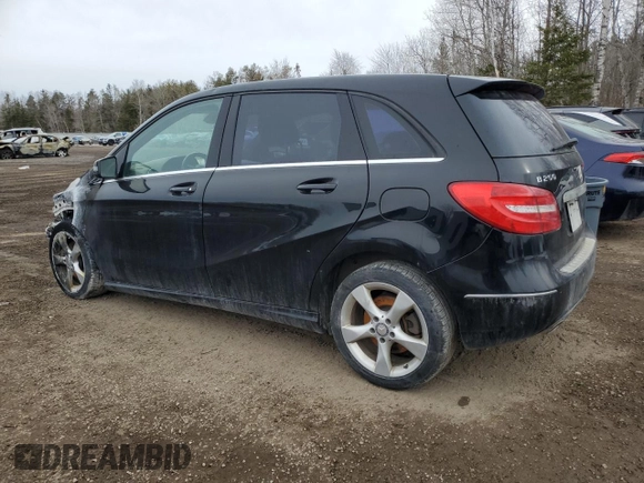 2014 Mercedes-Benz B 250 Sports Tourer with VIN WDDMH4EB9EJ187676, listed as a Copart auction lot 48683595 with Not Provided miles and Non Repairable. Bid and sale history available at DreamBid. Image 2.