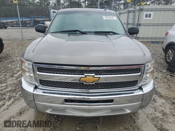 2013 Chevrolet Silverado 1500 LT with VIN 1GCRCSE07DZ185751, listed as a Copart auction lot 48394685 with 197,379 mi miles and Salvage Title. Bid and sale history available at DreamBid. Image 5.
