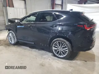 2024 Lexus NX 350 Luxury with VIN 2T2HGCEZ8RC042924, listed as a Copart auction lot 46377495 with 14,228 mi miles and Salvage title. Bid and sale history available at DreamBid. Image 2.