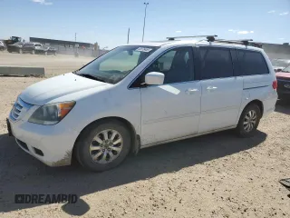 2009 Honda Odyssey EX-L with VIN 5FNRL38679B504312, listed as a Copart auction lot 53878465 with 239,462 mi miles and Salvage Title. Bid and sale history available at carsss.com. Image 1.