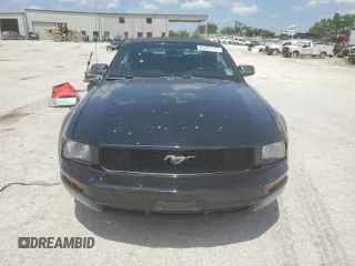 2005 Ford Mustang Deluxe with VIN 1ZVFT84N655254096, listed as a Copart auction lot 62481145 with 113,078 mi miles and Salvage title. Bid and sale history available at DreamBid. Image 5.