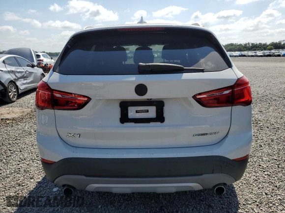 2018 BMW X1 sDrive28i with VIN WBXHU7C32J5L07666, listed as a Copart auction lot 54173465 with 132,514 mi miles and Clean Title. Bid and sale history available at DreamBid. Image 6.