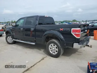 2013 Ford F-150 XL with VIN 1FTFW1ET6DKD97984, listed as a Copart auction lot 61098225 with 219,002 mi miles and Clean title. Bid and sale history available at DreamBid. Image 2.