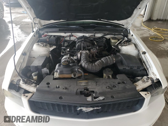 2006 Ford Mustang Standard with VIN 1ZVFT84N565202458, listed as a Copart auction lot 75310324 with 123,833 mi miles and Clean Title. Bid and sale history available at carsss.com. Image 11.