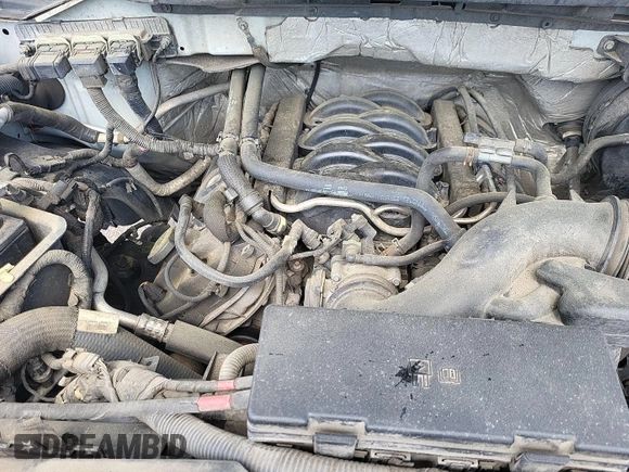 2013 Ford F-150 XL with VIN 1FTFX1EFXDKD06755, listed as a IAAI auction lot 42621066 with 308,497 mi miles and . Bid and sale history available at DreamBid. Image 17.