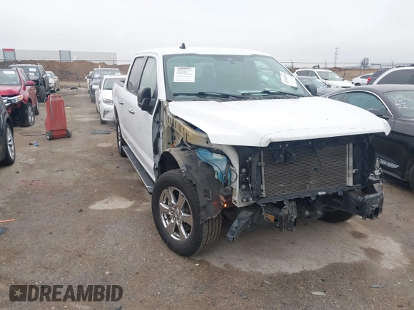 2019 Ford F-150 XL with VIN 1FTEW1C52KKF31886, listed as a IAAI auction lot 41593264 with 44,046 mi miles and . Bid and sale history available at DreamBid. Image 1.