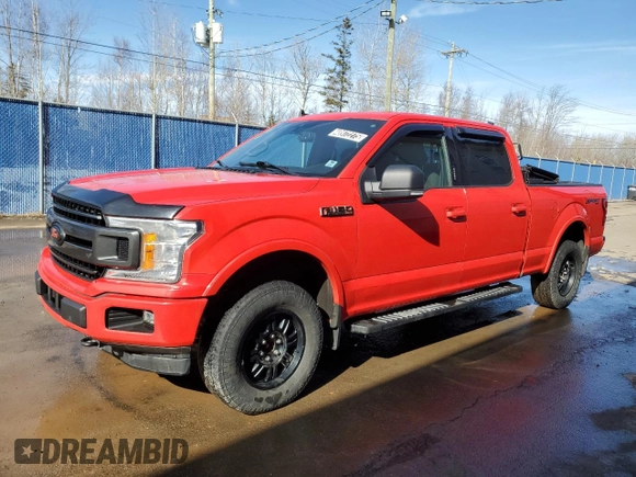 2019 Ford F-150 XL with VIN 1FTFW1E45KFC69606, listed as a Copart auction lot 48972275 with 172,982 mi miles and Clean Title. Bid and sale history available at carsss.com. Image 11.
