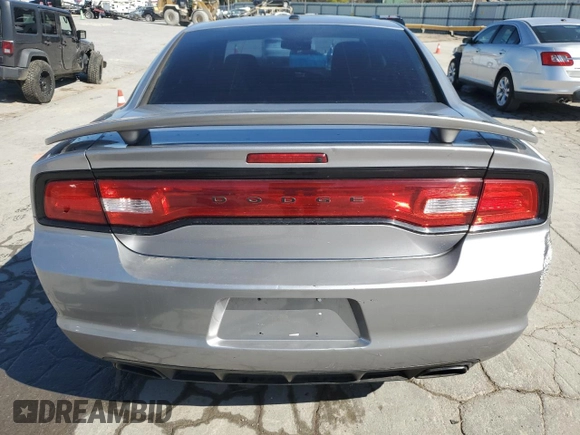 2013 Dodge Charger SXT with VIN 2C3CDXHG5DH640738, listed as a Copart auction lot 48306265 with 188,669 mi miles and Salvage Title. Bid and sale history available at carsss.com. Image 6.