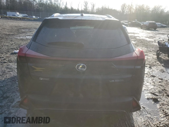 2021 Lexus UX with VIN JTHR9JBH3M2052396, listed as a Copart auction lot 85006594 with 45,883 mi miles and Salvage Title. Bid and sale history available at carsss.com. Image 6.