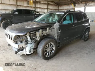 2021 Jeep Cherokee Altitude with VIN 1C4PJLLB2MD196242, listed as a Copart auction lot 47861905 with 117,974 mi miles and Salvage Title. Bid and sale history available at carsss.com. Image 1.