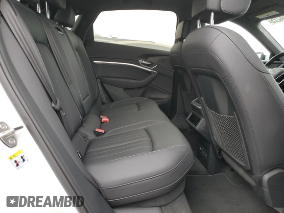 2023 Audi e-tron Sportback Premium Plus z VIN WA12ABGE1PB007387, wystawiony jako Copart lot #50734225 z przebiegiem 48 484 mil mil oraz Szkoda całkowita • Salvage title. Historia ofert i sprzedaży dostępna na DreamBid. Obrazek 10.