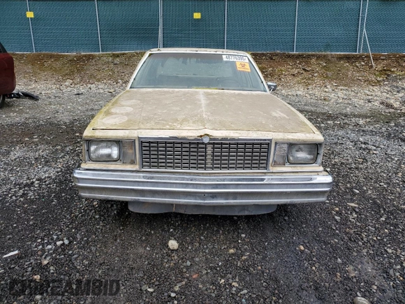 1979 Chevrolet Malibu с VIN 1W19J9K439407, выставлен на аукционе Copart как лот 48776395 с пробегом 47 010 миль миль и Чистый • Clean title. История ставок и продаж доступна на DreamBid. Изображение 5.