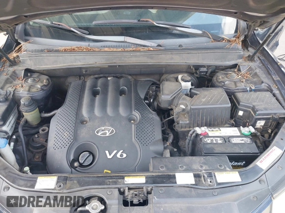 2007 Hyundai Santa Fe GLS with VIN 5NMSG13D97H084032, listed as a IAAI auction lot 42717196 with 281,287 mi miles and . Bid and sale history available at DreamBid. Image 10.