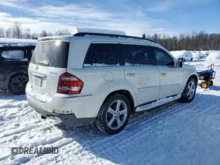 2009 Mercedes-Benz GL-Class 3.0L BlueTEC with VIN 4JGBF25E19A488045, listed as a Copart auction lot 46063375 with 242,880 mi miles and Clean Title. Bid and sale history available at carsss.com. Image 3.
