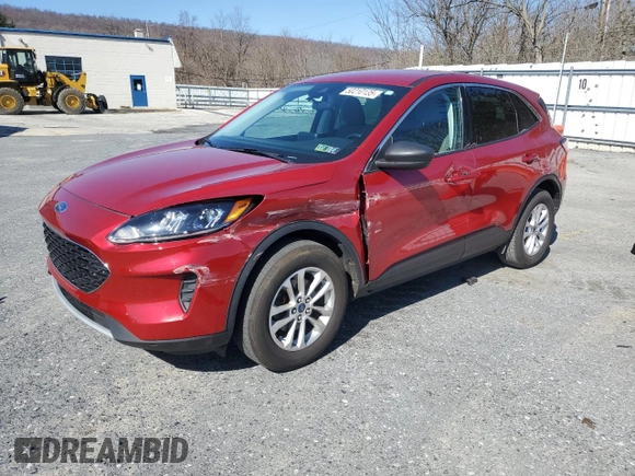 2022 Ford Escape SE with VIN 1FMCU9G68NUA03725, listed as a Copart auction lot 50210135 with 22,821 mi miles and Salvage Title. Bid and sale history available at DreamBid. Image 1.