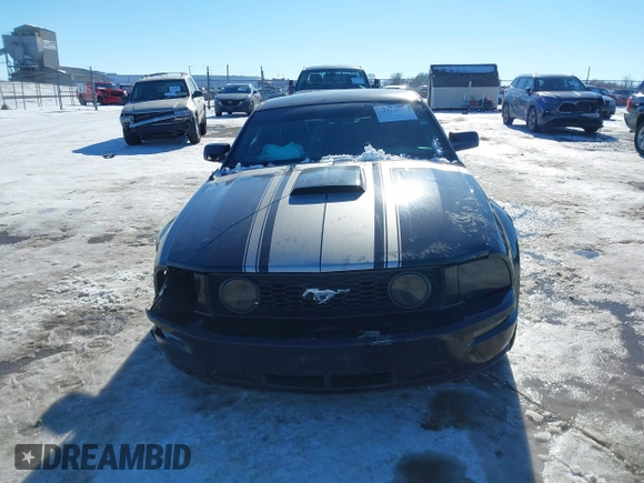 2007 Ford Mustang GT Deluxe with VIN 1ZVFT82H775319621, listed as a IAAI auction lot 41352594 with 123,842 mi miles. Bid and sale history available at carsss.com. Image 13.