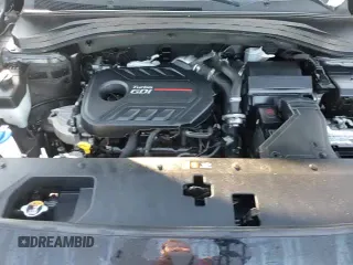 2020 Hyundai Santa Fe SEL with VIN 5NMS3CAA4LH248751, listed as a Copart auction lot 87234305 with 121,110 mi miles and Clean title. Bid and sale history available at DreamBid. Image 14.