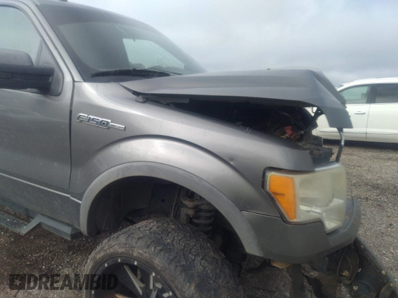 2010 Ford F-150 XL with VIN 1FTFW1EV3AFD01718, listed as a IAAI auction lot 41645220 with 248,009 mi miles and . Bid and sale history available at carsss.com. Image 19.