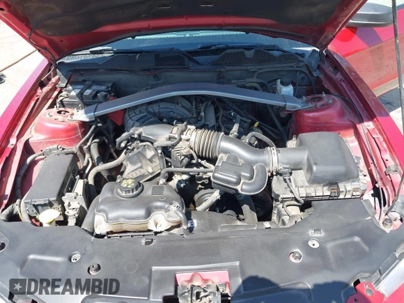 2011 Ford Mustang V6 with VIN 1ZVBP8EM6B5108804, listed as a IAAI auction lot 41966445 with 239,146 mi miles and . Bid and sale history available at DreamBid. Image 10.