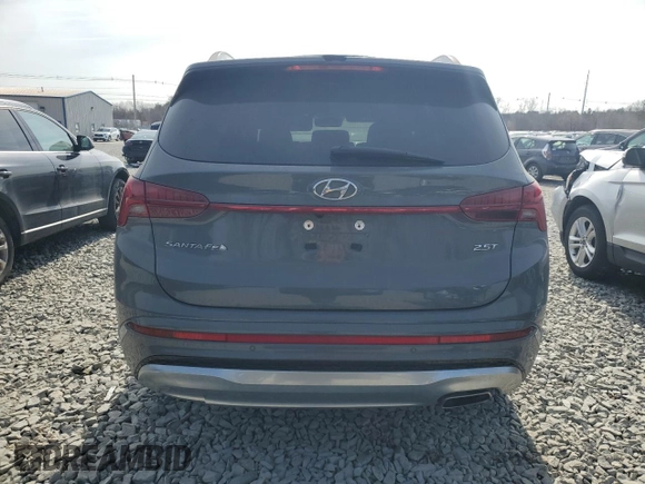 2023 Hyundai Santa Fe Calligraphy with VIN 5NMS54AL6PH494448, listed as a Copart auction lot 49070955 with 0 mi miles and Salvage Title. Bid and sale history available at carsss.com. Image 6.