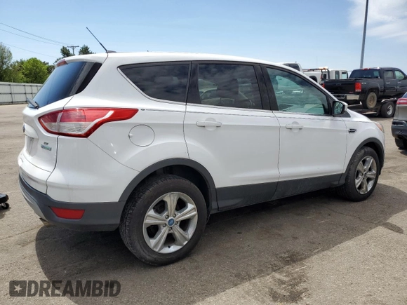 2014 Ford Escape SE with VIN 1FMCU0G95EUB81193, listed as a Copart auction lot 54364125 with 175,924 mi miles and Clean Title. Bid and sale history available at carsss.com. Image 3.