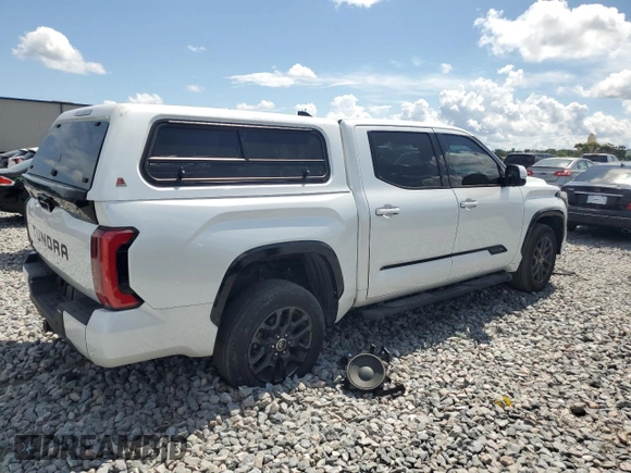 2023 Toyota Tundra Platinum with VIN 5TFNA5DB6PX097041, listed as a Copart auction lot 61903835 with 34,547 mi miles and Salvage title. Bid and sale history available at DreamBid. Image 3.