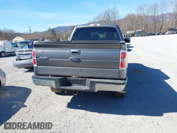 2012 Ford F-150 XL with VIN 1FTFX1ET1CFC01194, listed as a IAAI auction lot 41845414 with 202,050 mi miles. Bid and sale history available at carsss.com. Image 17.