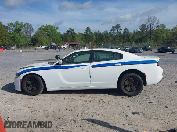 2019 Dodge Charger Police with VIN 2C3CDXAT3KH599711, listed as a IAAI auction lot 41906214 with 80,462 mi miles and . Bid and sale history available at DreamBid. Image 14.
