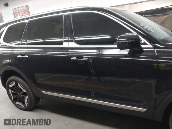 2025 Kia Telluride S with VIN 5XYP64GC9SG580656, listed as a IAAI auction lot 42000035 with 4,169 mi miles and . Bid and sale history available at DreamBid. Image 14.