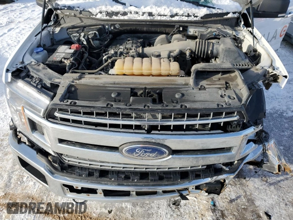 2020 Ford F-150 XL with VIN 1FTEX1EB0LKF21844, listed as a Copart auction lot 43440265 with 176,330 mi miles and Clean Title. Bid and sale history available at carsss.com. Image 11.