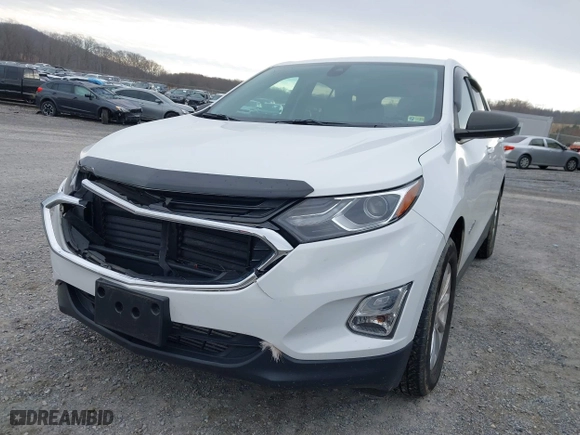 2021 Chevrolet Equinox LS with VIN 3GNAXHEV8MS135543, listed as a IAAI auction lot 41629456 with 43,482 mi miles. Bid and sale history available at carsss.com. Image 6.